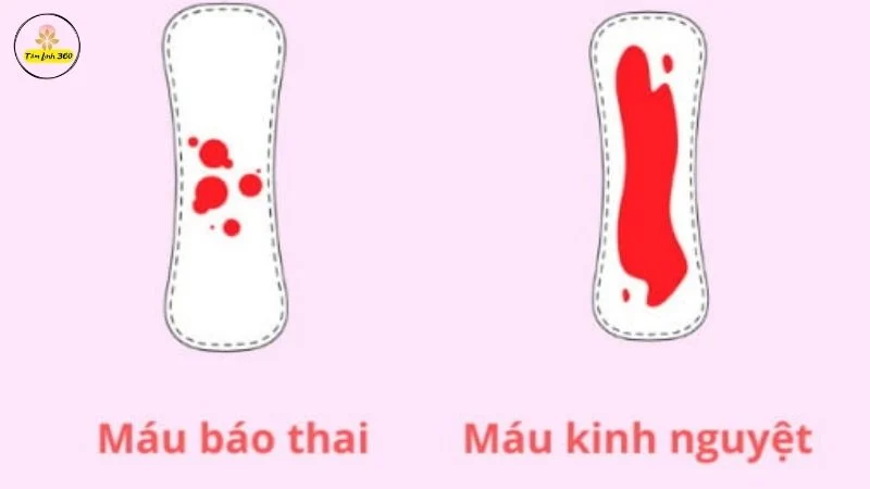 Dấu hiệu nhận biết có thai phổ biến là ra máu báo thai