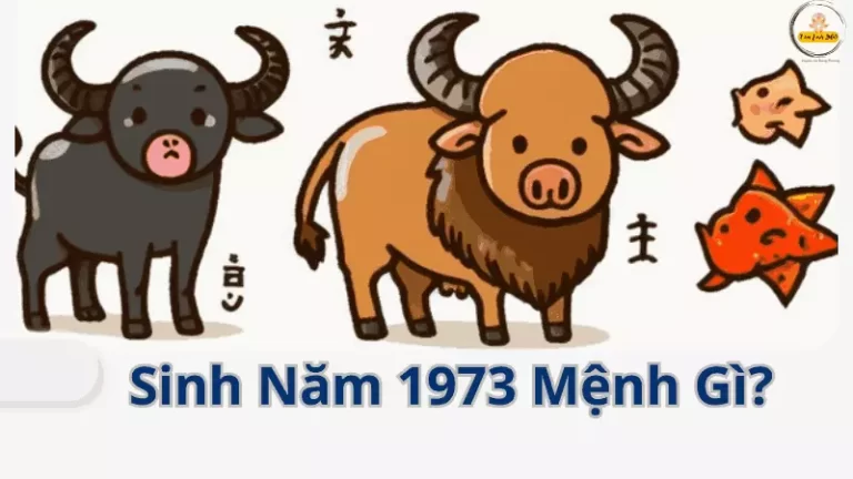 tuoi suu sinh nam 1973 menh gi