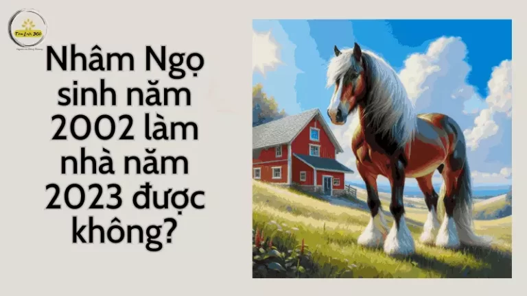 sinh nam 2002 lam nha 2023 duoc khong