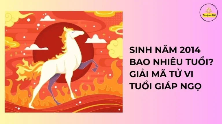 Sinh năm 2014 bao nhiêu tuổi? Giải mã tử vi tuổi giáp ngọ