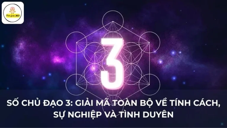 Số chủ đạo 3