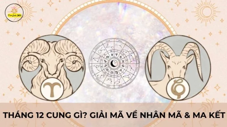 Tháng 12 Cung Gì? Giải Mã Về Cung Hoàng Đạo Nhân Mã & Ma Kết