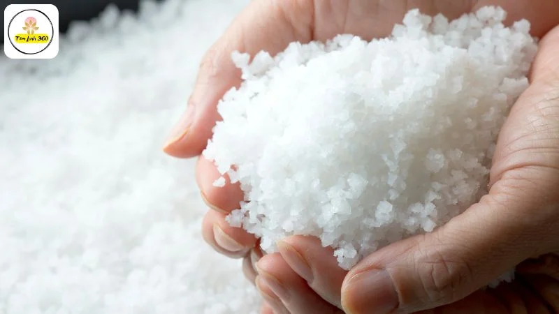 thang 7 am nen mua muoi Tháng 7 âm nên mua muối