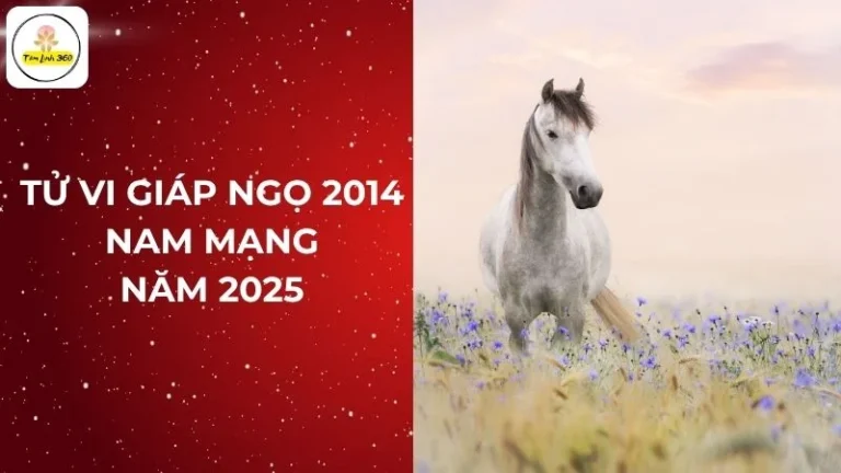 Tử vi giáp ngọ 2014 nam mạng: Luận giải chi tiết