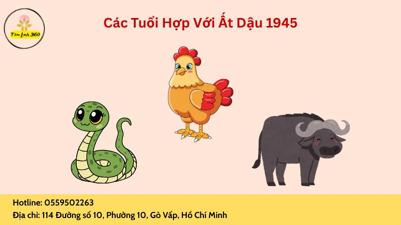 tuoi hop voi at dau Các tuổi hợp với Ất Dậu
