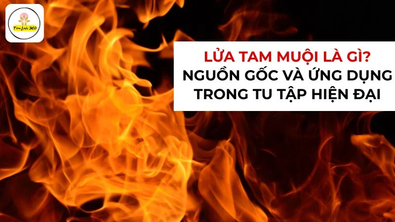 lua tam muoi la gi Lửa Tam Muội là gì? Nguồn gốc và ứng dụng trong tu tập hiện đại