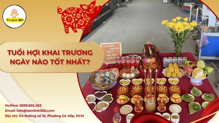 Ảnh đại diện tuổi Hợi khai trương ngày nào tốt nhất