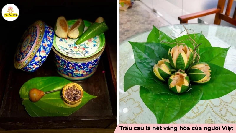 trầu cau là món lễ vật truyền thống của người Việt
