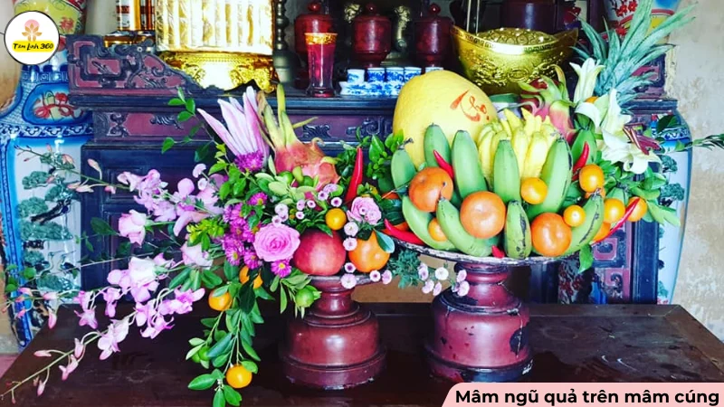 y nghia cac loai le vat mam cung khai truong chi tiet Mâm ngũ quả trên mâm cúng khai trương